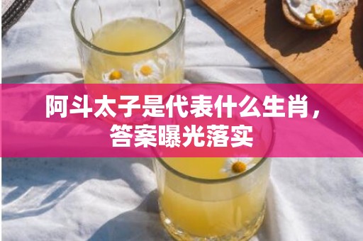 阿斗太子是代表什么生肖，答案曝光落实