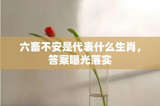 六畜不安是代表什么生肖，答案曝光落实