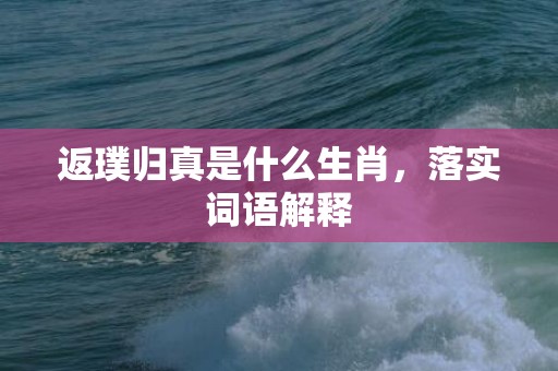 返璞归真是什么生肖，落实词语解释
