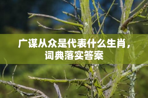 广谋从众是代表什么生肖，词典落实答案