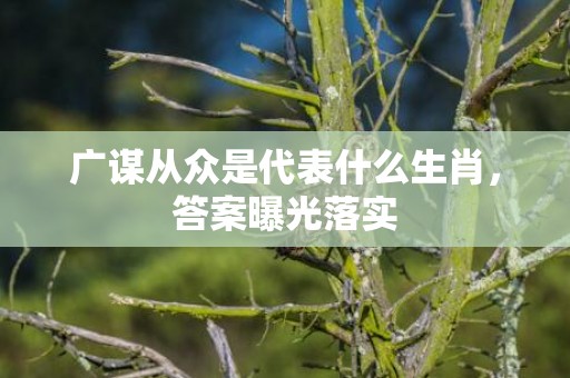 广谋从众是代表什么生肖，答案曝光落实