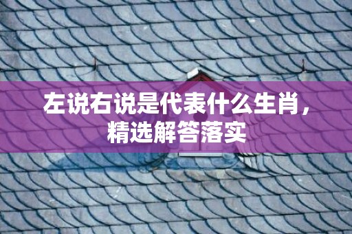左说右说是代表什么生肖，精选解答落实
