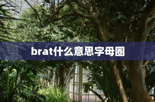 brat什么意思字母圈
