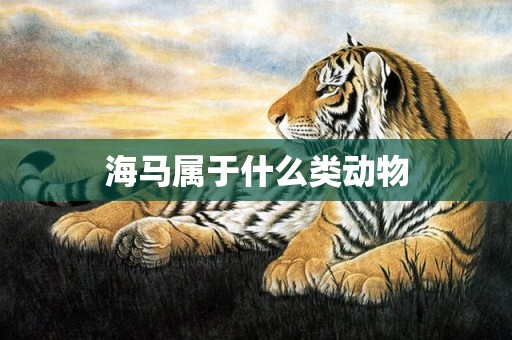 海马属于什么类动物