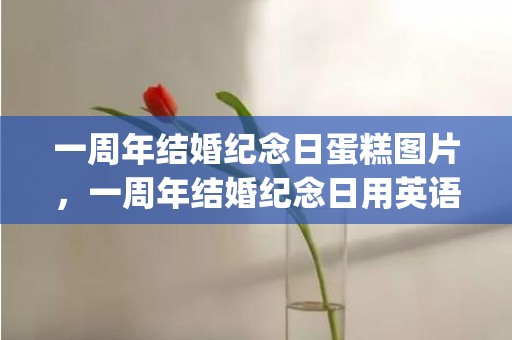 一周年结婚纪念日蛋糕图片，一周年结婚纪念日用英语怎么说(致自己结婚纪念日说说)