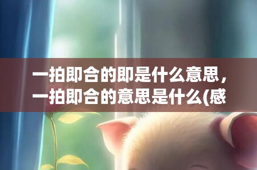 一拍即合的即是什么意思，一拍即合的意思是什么(感情一拍即合什么意思)