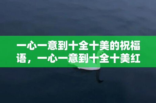 一心一意到十全十美的祝福语，一心一意到十全十美红包怎么发情侣文案 十全十美的红包是多少钱