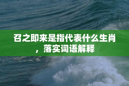 召之即来是指代表什么生肖，落实词语解释