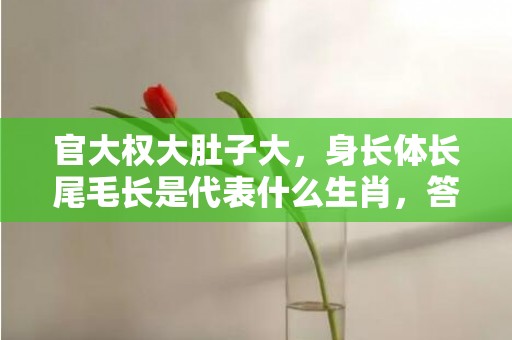 官大权大肚子大，身长体长尾毛长是代表什么生肖，答案曝光落实