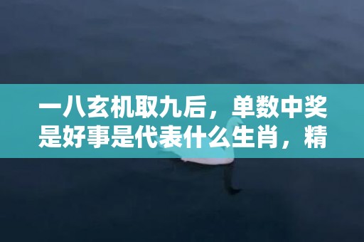 一八玄机取九后，单数中奖是好事是代表什么生肖，精选解答落实