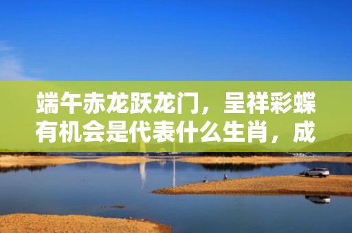 端午赤龙跃龙门，呈祥彩蝶有机会是代表什么生肖，成语解释落实