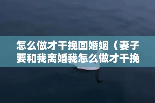 怎么做才干挽回婚姻（妻子要和我离婚我怎么做才干挽回）