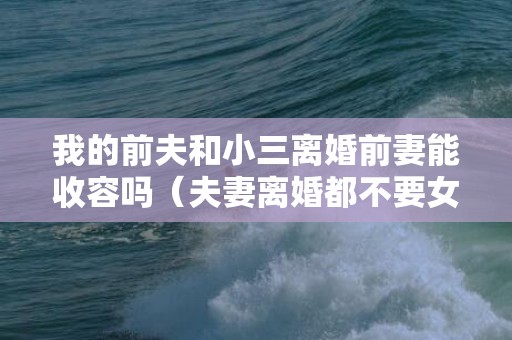 我的前夫和小三离婚前妻能收容吗（夫妻离婚都不要女儿被判不许离）