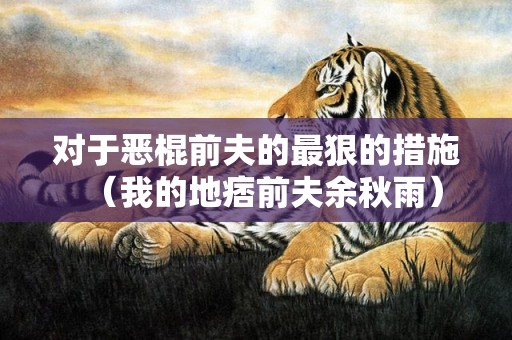 对于恶棍前夫的最狠的措施（我的地痞前夫余秋雨）