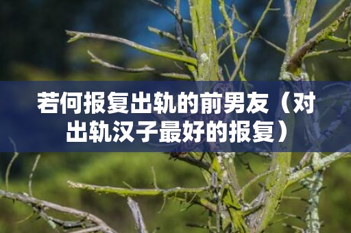 若何报复出轨的前男友（对出轨汉子最好的报复）