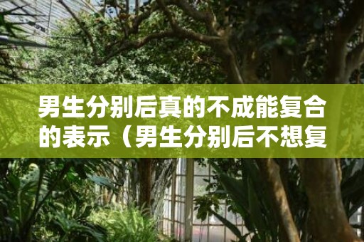 男生分别后真的不成能复合的表示（男生分别后不想复合的表示）