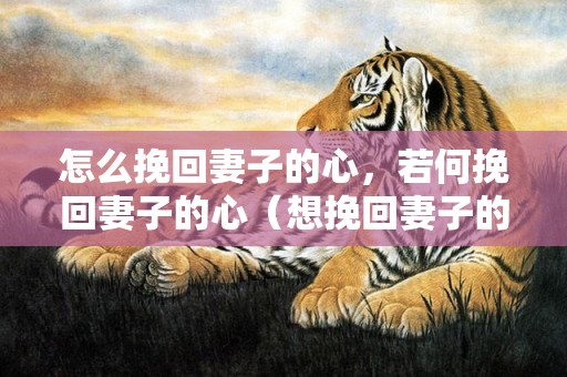 怎么挽回妻子的心，若何挽回妻子的心（想挽回妻子的心）