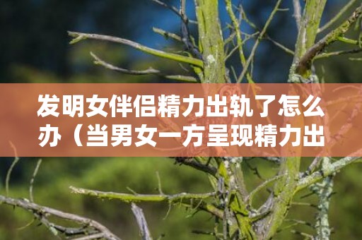发明女伴侣精力出轨了怎么办（当男女一方呈现精力出轨）