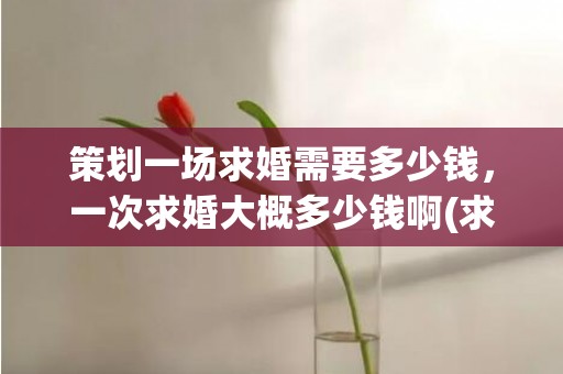 策划一场求婚需要多少钱，一次求婚大概多少钱啊(求婚公司一般多少钱)