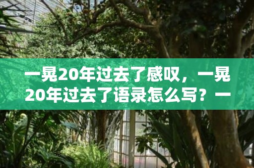 一晃20年过去了感叹，一晃20年过去了语录怎么写？一晃20多年了好句子