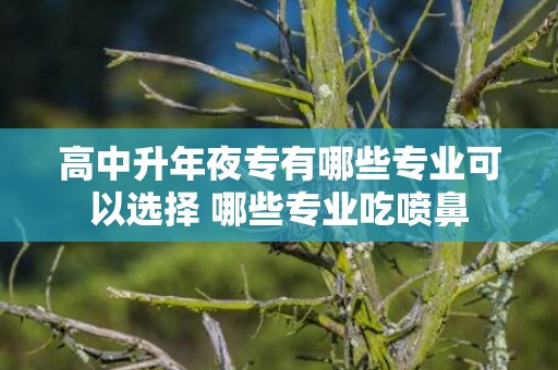 高中升年夜专有哪些专业可以选择 哪些专业吃喷鼻
