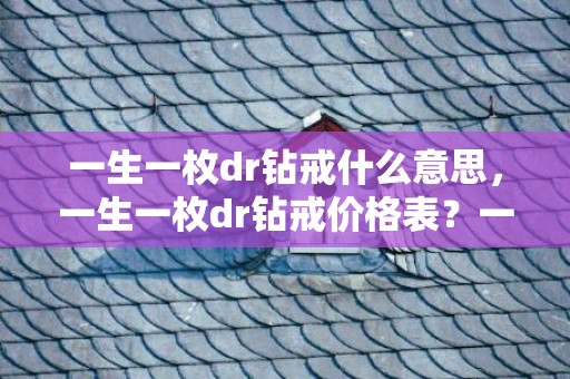 一生一枚dr钻戒什么意思，一生一枚dr钻戒价格表？一生一枚dr戒指价格