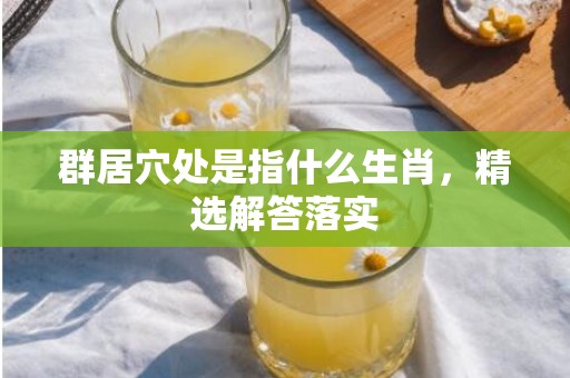 群居穴处是指什么生肖，精选解答落实