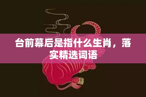 台前幕后是指什么生肖，落实精选词语