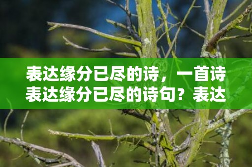 表达缘分已尽的诗，一首诗表达缘分已尽的诗句？表达缘分已尽的古诗