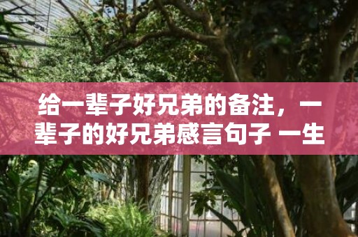 给一辈子好兄弟的备注，一辈子的好兄弟感言句子 一生遇到的好兄弟说说