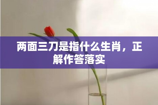 两面三刀是指什么生肖，正解作答落实