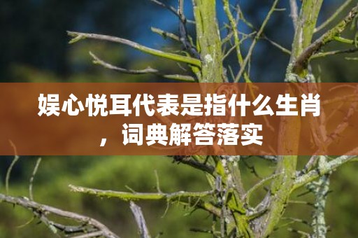 娱心悦耳代表是指什么生肖，词典解答落实