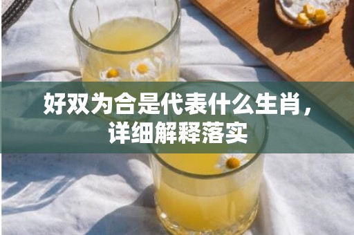 好双为合是代表什么生肖，详细解释落实