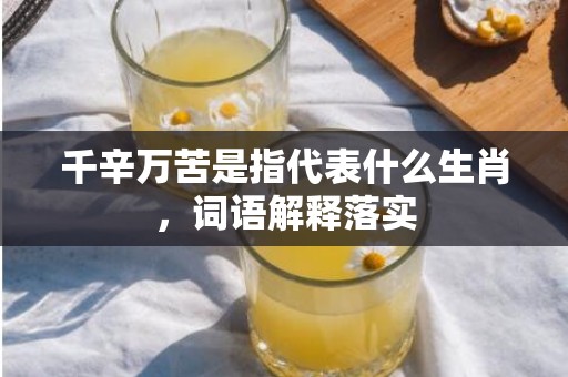千辛万苦是指代表什么生肖，词语解释落实
