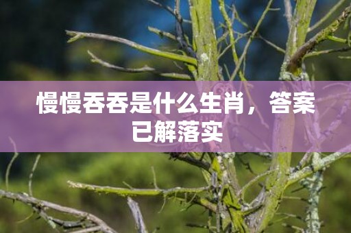 慢慢吞吞是什么生肖，答案已解落实