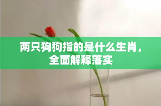两只狗狗指的是什么生肖，全面解释落实