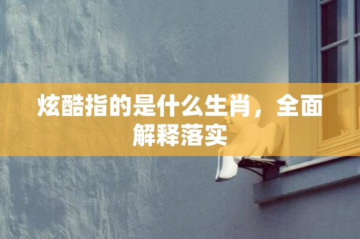 炫酷指的是什么生肖，全面解释落实