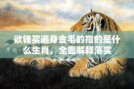 欲钱买遍身金毛的指的是什么生肖，全面解释落实