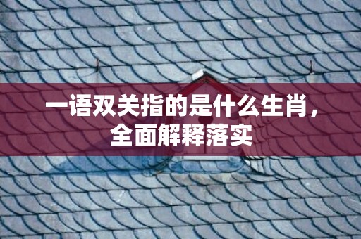 一语双关指的是什么生肖，全面解释落实