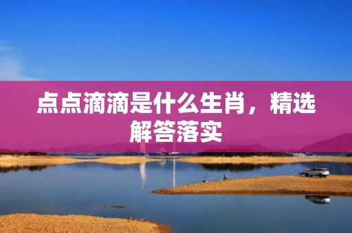 点点滴滴是什么生肖，精选解答落实