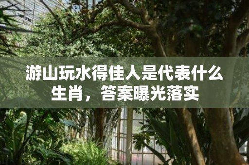 游山玩水得佳人是代表什么生肖，答案曝光落实