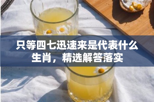 只等四七迅速来是代表什么生肖，精选解答落实