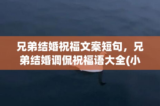 兄弟结婚祝福文案短句，兄弟结婚调侃祝福语大全(小兄弟结婚祝福语)
