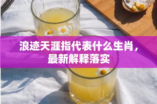 浪迹天涯指代表什么生肖，最新解释落实