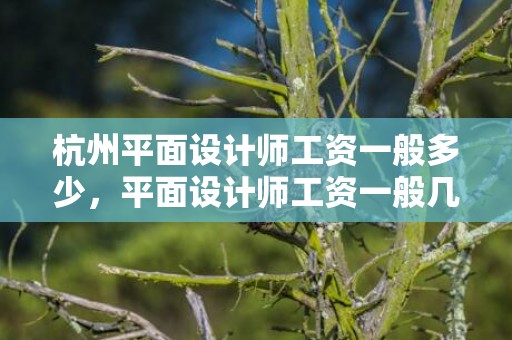 杭州平面设计师工资一般多少，平面设计师工资一般几多 就业远景怎么样