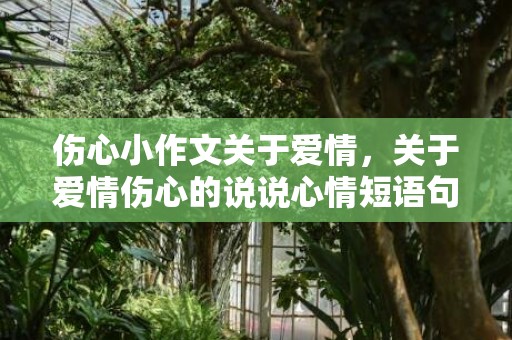 伤心小作文关于爱情，关于爱情伤心的说说心情短语句子