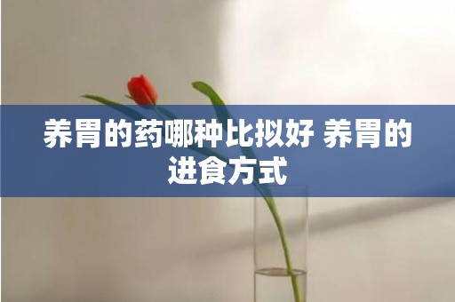 养胃的药哪种比拟好 养胃的进食方式