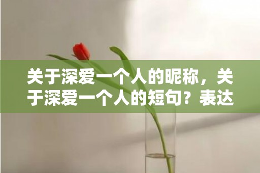 关于深爱一个人的昵称，关于深爱一个人的短句？表达深爱一个人的留言