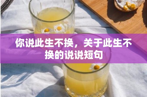 你说此生不换，关于此生不换的说说短句