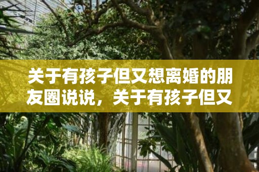 关于有孩子但又想离婚的朋友圈说说，关于有孩子但又想离婚的朋友圈说说